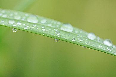 托尼老师模拟器《美发师模拟器》3月发售